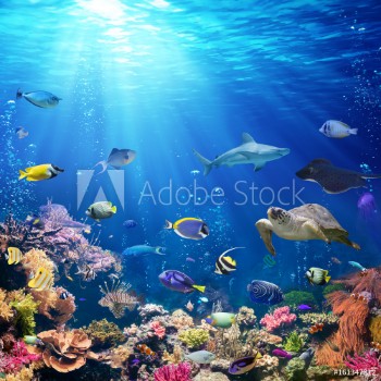Bild på Underwater Scene With Coral Reef And Tropical Fish